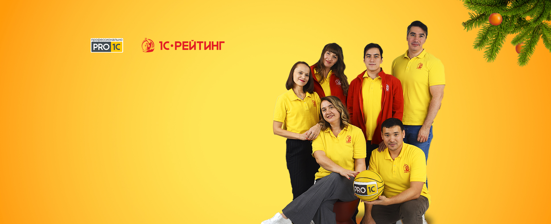 PRO1C – доступно, практично, профессионально